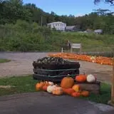 Berry Fruit Farm photo