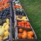 Berry Fruit Farm photo