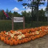 Berry Fruit Farm photo