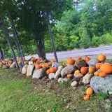 Berry Fruit Farm photo