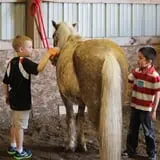 Bunker Park Stables photo
