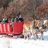 Bunker Park Stables photo