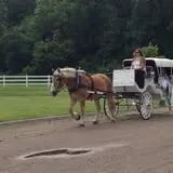 Bunker Park Stables photo