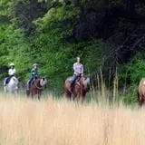 Bunker Park Stables photo