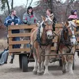 Bunker Park Stables photo