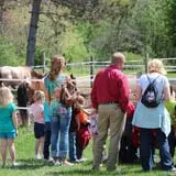 Bunker Park Stables photo