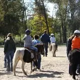 Bunker Park Stables photo