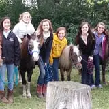 Bunker Park Stables photo