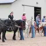 Bunker Park Stables photo