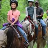 Bunker Park Stables photo
