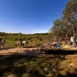 Bunker Park Stables photo