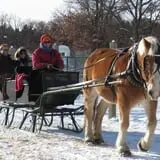 Bunker Park Stables photo