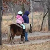 Bunker Park Stables photo