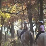 Bunker Park Stables photo