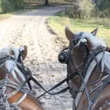Bunker Park Stables photo