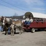 Bunker Park Stables photo