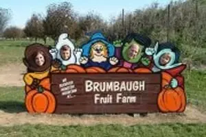 Brumbaugh's Fruit Farm