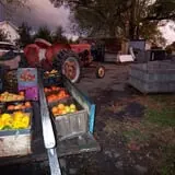Soons Orchards photo