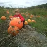 Soons Orchards photo