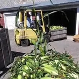 Soons Orchards photo