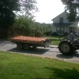 Soons Orchards photo