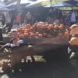 Soons Orchards photo