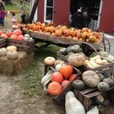 Soons Orchards photo