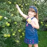 Soons Orchards photo