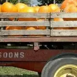 Soons Orchards photo