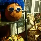Soons Orchards photo