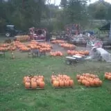Soons Orchards photo