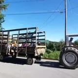 Soons Orchards photo