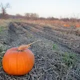 Soons Orchards photo