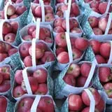 Roanoke Orchard photo