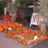 Roanoke Orchard photo