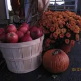 Roanoke Orchard photo