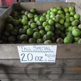 Roanoke Orchard photo
