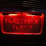 Forbidden Forest Horror Trail photo