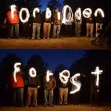 Forbidden Forest Horror Trail photo