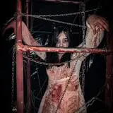 American Fright Night photo