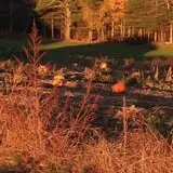 Spiller Farm U Pick Pumpkin & Hay Rides photo