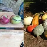 Spiller Farm U Pick Pumpkin & Hay Rides photo