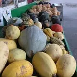 Spiller Farm U Pick Pumpkin & Hay Rides photo