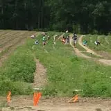 Spiller Farm U Pick Pumpkin & Hay Rides photo