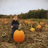 Spiller Farm U Pick Pumpkin & Hay Rides photo