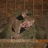 Slaughterhouse Adventure & Grand River Corn Maze photo