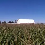 Slaughterhouse Adventure & Grand River Corn Maze photo