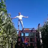 Daytime Corn Maze