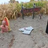 Slaughterhouse Adventure & Grand River Corn Maze photo
