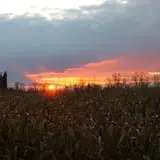 Slaughterhouse Adventure & Grand River Corn Maze photo